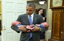 Cuộc sống của gia đình Obama trong Nhà Trắng qua ảnh