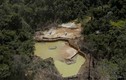 Chùm ảnh Brazil trấn áp vàng tặc ở rừng Amazon