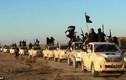 Kinh hoàng IS cắt lưỡi chiến binh vì bỏ chạy khỏi Fallujah