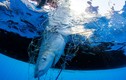 Cuộc sống của ngư dân Madagascar săn cá mập