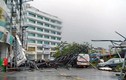 Ảnh siêu bão Nepartak tàn phá Đài Loan, 74 người thương vong