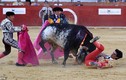 Kinh hãi đấu sĩ bị bò tót húc chết ở Tây Ban Nha