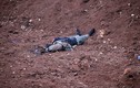 Tay súng bí ẩn bắn chết chỉ huy cấp cao FSA tại Daraa