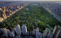 Central Park - Mảng xanh khổng lồ giữa New York
