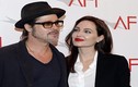 14 lý do khiến Angelina Jolie ly hôn với Brad Pitt 