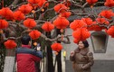 Người dân Trung Quốc làm gì trong 14 ngày đầu Năm mới?