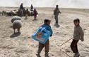 Cảnh thường dân Iraq mang theo gia súc tháo chạy khỏi Mosul