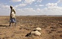 Hạn hán kinh hoàng ở Somalia giết 110 người trong hai ngày