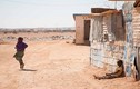 Thêm ảnh về đợt hạn hán kinh hoàng ở Somalia