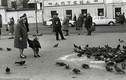 Cuộc sống thanh bình ở Liên Xô hồi thập niên 1960