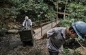 Cuộc sống của những người “săn” ngọc bích ở Colombia