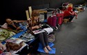 Ảnh: Dân Sydney trở thành vô gia cư vì…giá nhà leo cao