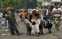 12 điều gây sốc về cuộc sống ở đất nước Công-gô