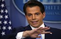 10 ngày “làm loạn” của Giám đốc truyền thông Nhà Trắng  Scaramucci