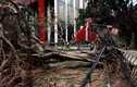 Sức tàn phá kinh hoàng của bão số 6 ở Trung Quốc