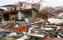 Khiếp cảnh tượng siêu bão Harvey tàn phá bang Texas, Mỹ