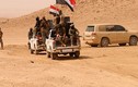 Ảnh: Quân đội Iraq giải phóng thành phố chiến lược al-Qaim