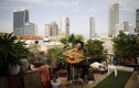 Muôn màu cuộc sống trên sân thượng giữa lòng thành phố Tel Aviv