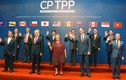 TPP-11: Hiệp định lịch sử thay đổi diện mạo thương mại toàn cầu