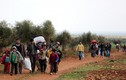 Cảnh dân thường ồ ạt tháo chạy khỏi “chảo lửa” Afrin