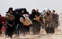 Giữa ngừng bắn, dân ồ ạt tháo chạy khỏi “tử địa” Đông Ghouta
