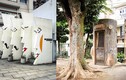Muôn kiểu nhà vệ sinh công cộng “siêu độc” ở Nhật Bản