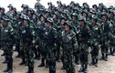Trung Quốc sẽ giúp Syria trong chiến dịch quân sự tại Idlib?