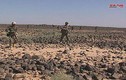 Phiến quân IS ồ ạt tháo chạy khỏi chiến trường Sweida