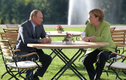 Gặp Thủ tướng Đức Merkel, Tổng thống Nga Putin thảo luận vấn đề gì?