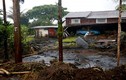 Hawaii tan hoang sau siêu bão Lane