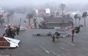 Siêu bão “quái vật” Michael tấn công, Florida chìm trong biển nước