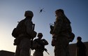 Bất ngờ thủ phạm sát hại lính Mỹ tại Afghanistan