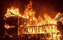Hãi hùng cảnh cháy rừng ở California, 30.000 người sơ tán
