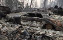 Giật mình những con số khủng khiếp trong thảm họa cháy rừng California