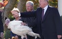 Ông Trump "xá tội" cho gà tây tại Nhà Trắng nhân dịp Lễ Tạ ơn