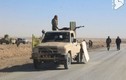 Phiến quân IS thảm bại, người Kurd “thừa thắng xốc tới” tại Deir Ezzor