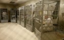 Tận mục cuộc sống trong các nhà tù ở nước Mỹ