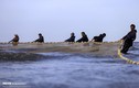 Vất vả cuộc sống mưu sinh của ngư dân Iran trên Biển Caspi