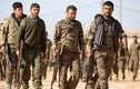 Người Kurd gia nhập Quân đội Syria sau khi bị Mỹ “phản bội”?