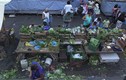 Bất ngờ “cuộc chiến” chống lãng phí thực phẩm ở Brazil