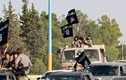 Phiến quân IS ngoan cố, quyết không đầu hàng tại Syria