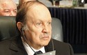 Tổng thống Algeria đang bị quân đội “ép” từ chức là ai?
