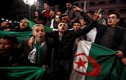 Biển người ăn mừng khi Tổng thống Algeria 82 tuổi từ chức