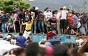 Dân Venezuela “phá” rào, vượt biên sang Colombia tìm thức ăn
