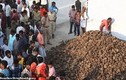 Ấn Độ: Dân làng ném phân bò vào nhau cầu sức khỏe