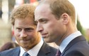 Hoàng tử Harry và anh trai “không nhìn mặt nhau” suốt 6 tháng?
