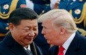 Chủ tịch Trung Quốc Tập Cận Bình: "Tổng thống Trump là bạn tôi"