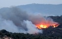 Nắng nóng, cháy rừng hoành hành Châu Âu
