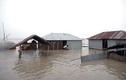 Hãi hùng lũ lụt hoành hành Nam Á, hơn 100 người chết