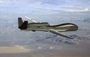 Iran tuyên bố Mỹ đã bắn hạ UAV của chính mình